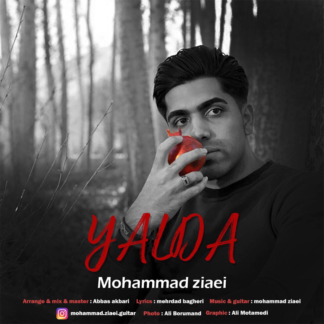 محمد ضیایی یلدا