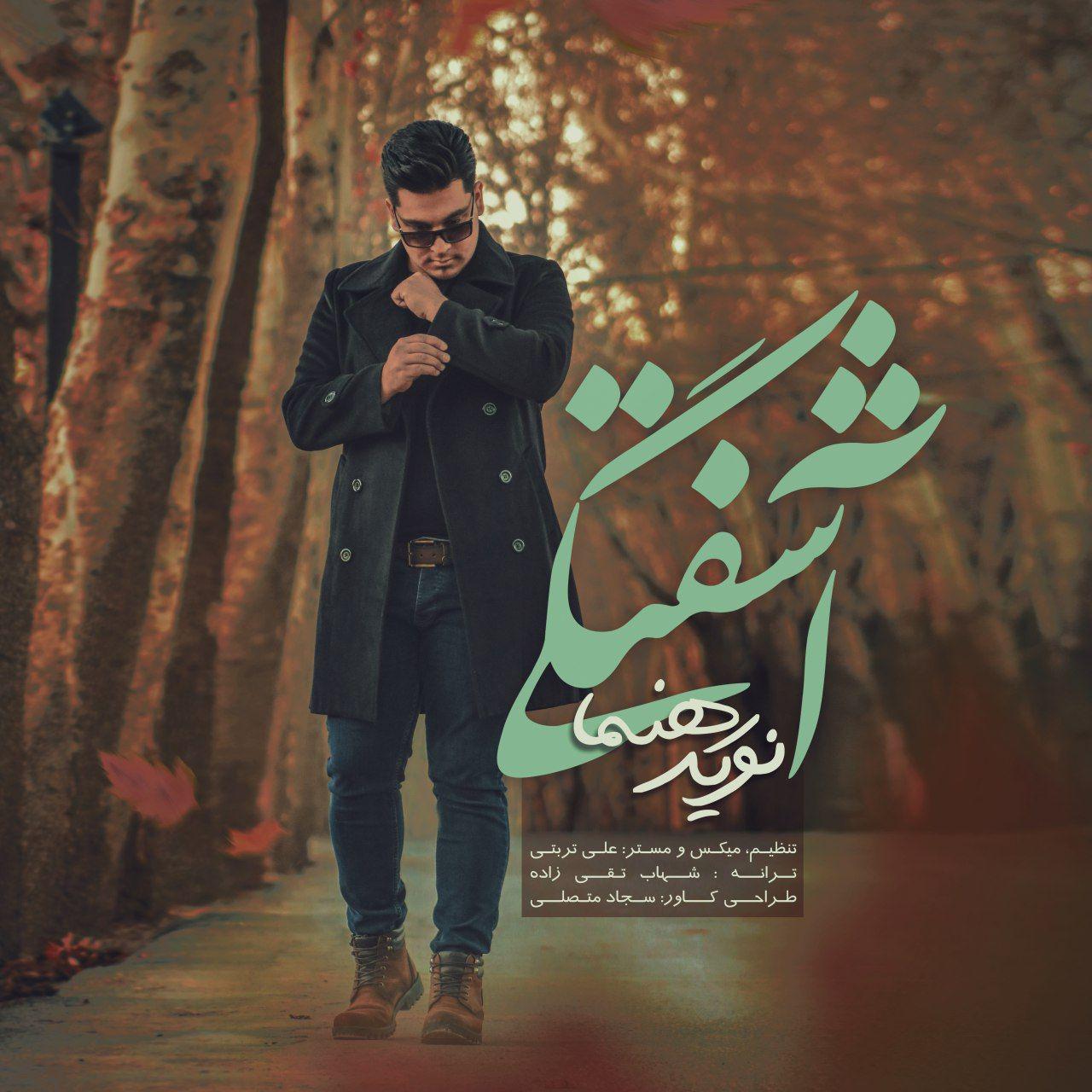 نوید رهنما آشفتگی‌