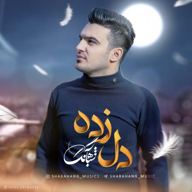 شباهنگ دل زده