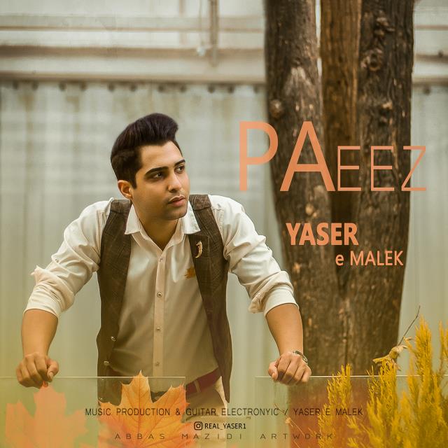 یاسر ملک پاییز