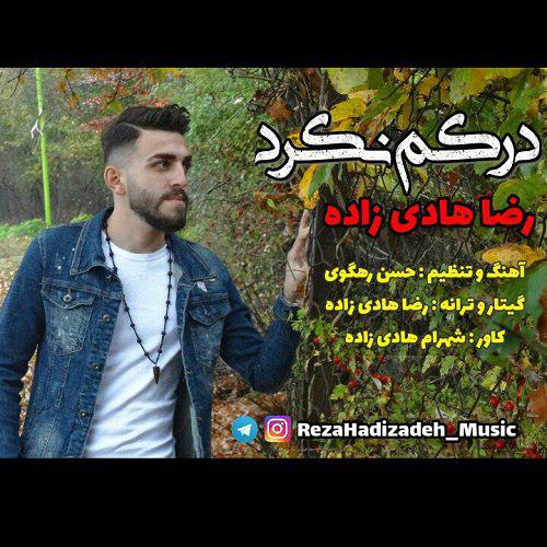 رضا هادی زاده درکم نکرد
