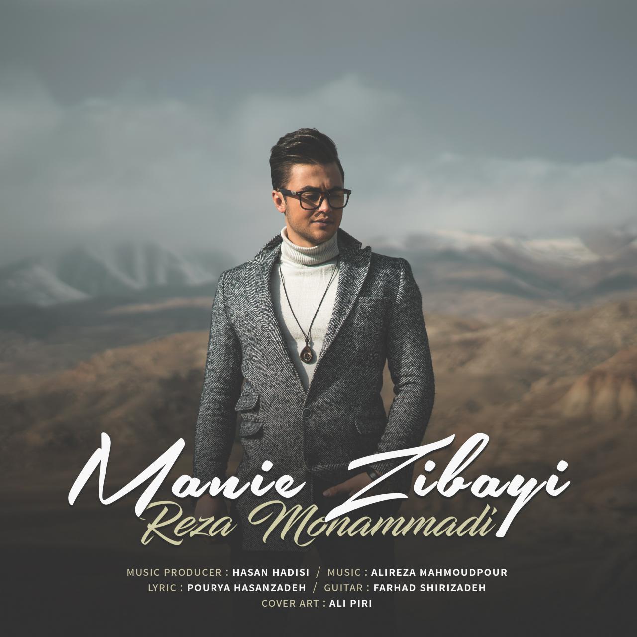 رضا محمدی معنی زیبایی