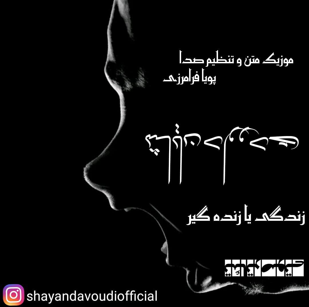 شایان داودی زندگی یا زنده گیر