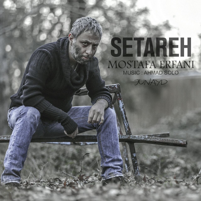 مصطفی عرفانی ستاره
