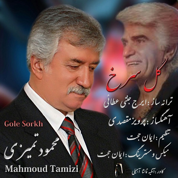 محمود تمیزی گل سرخ