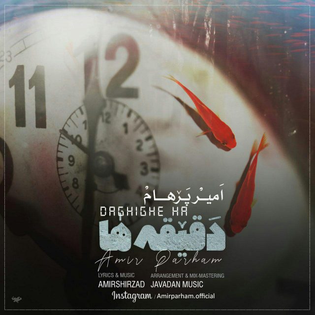 امیر پرهام دقیقه ها
