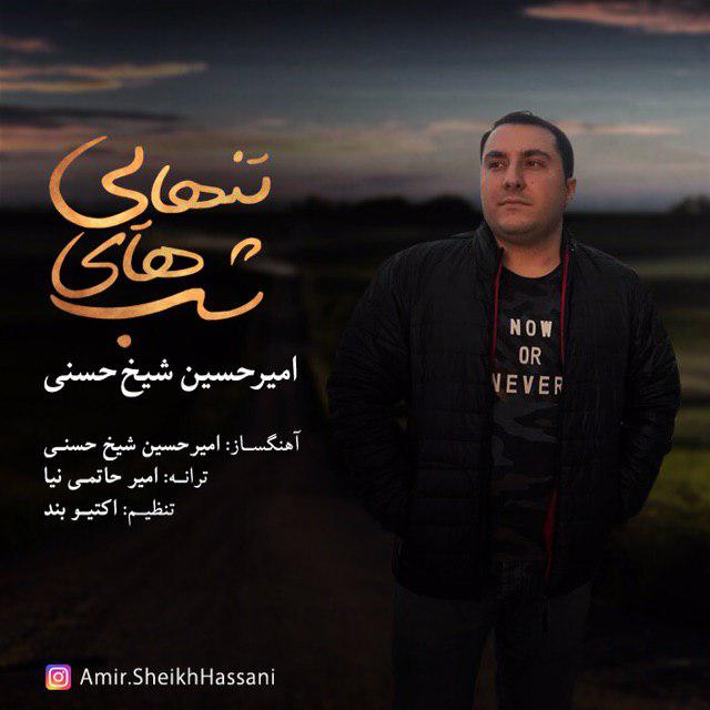 امیرحسین شیخ حسنی