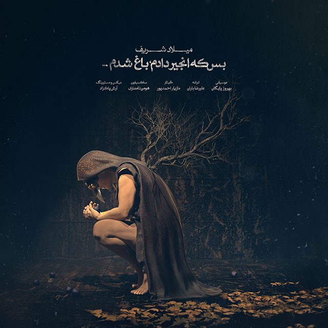 میلاد شریف