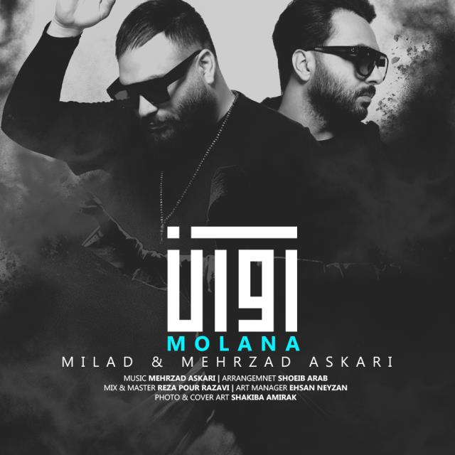 گروه آوان مولانا