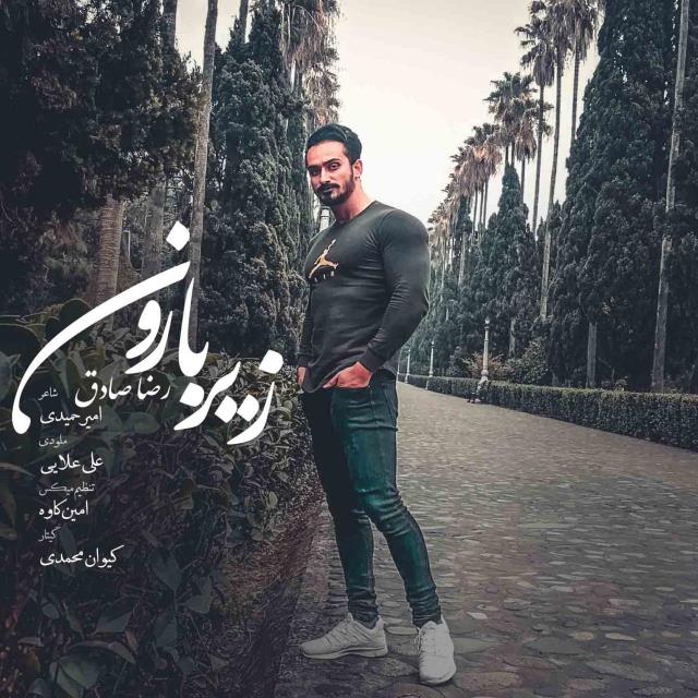 رضا صادق