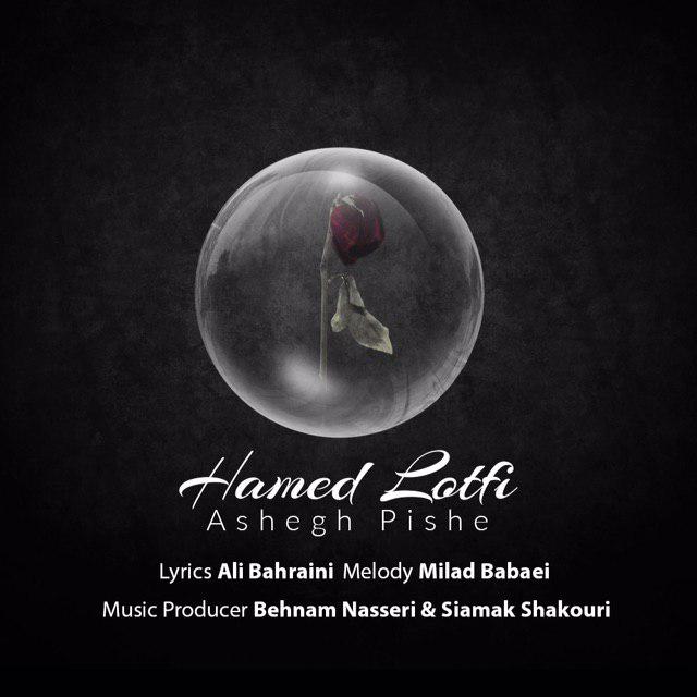 حامد لطفی عاشق پیشه