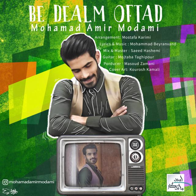 محمد امیر مدامی به دلم افتاد
