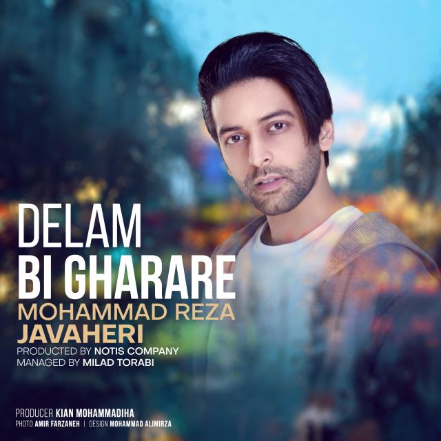 محمدرضا جواهری