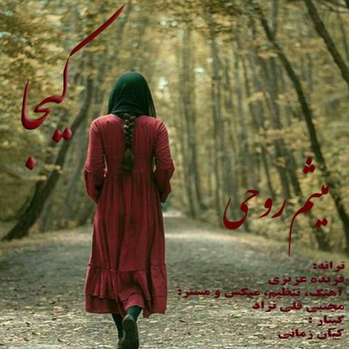 میثم روحی کیجا