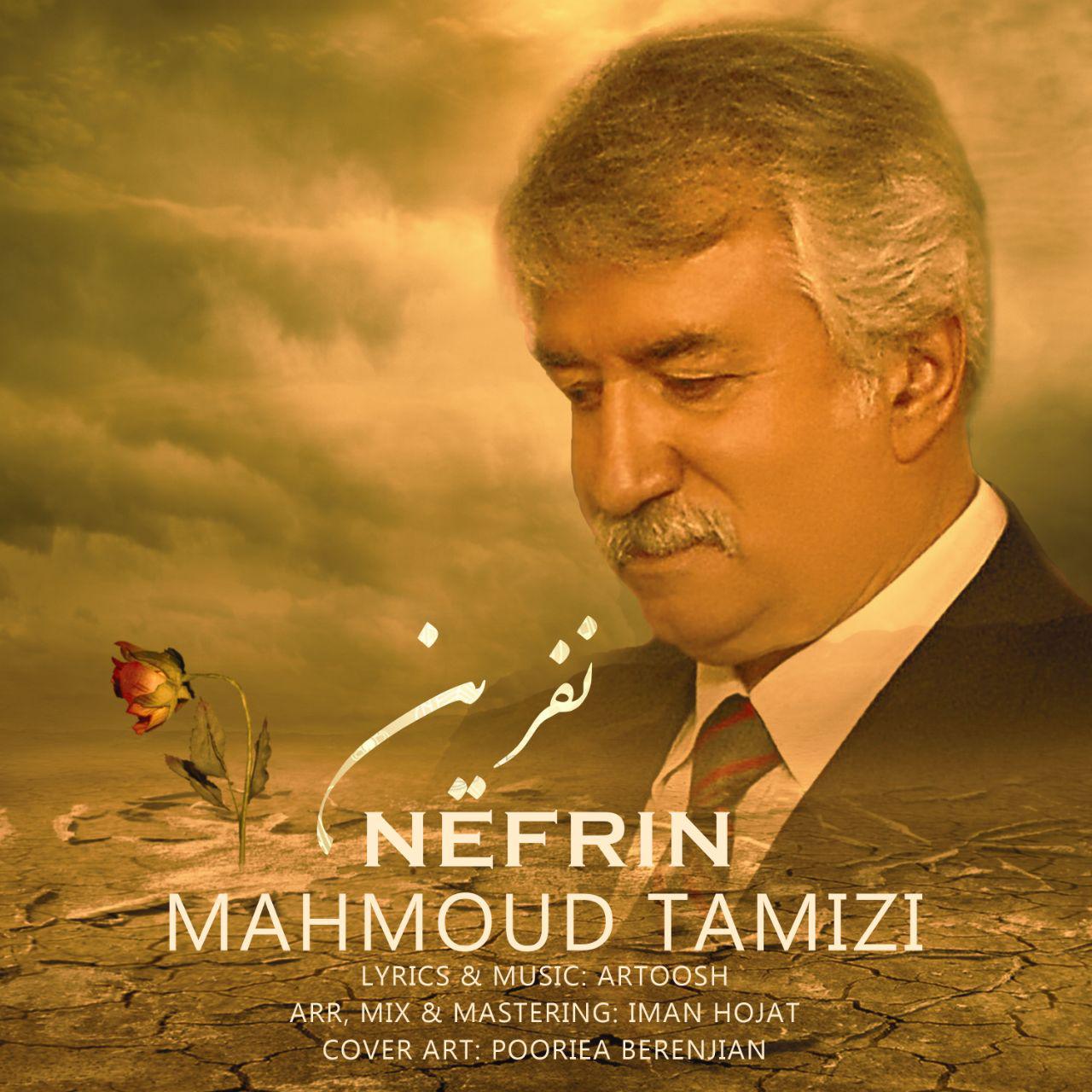 محمود تمیزی نفرین