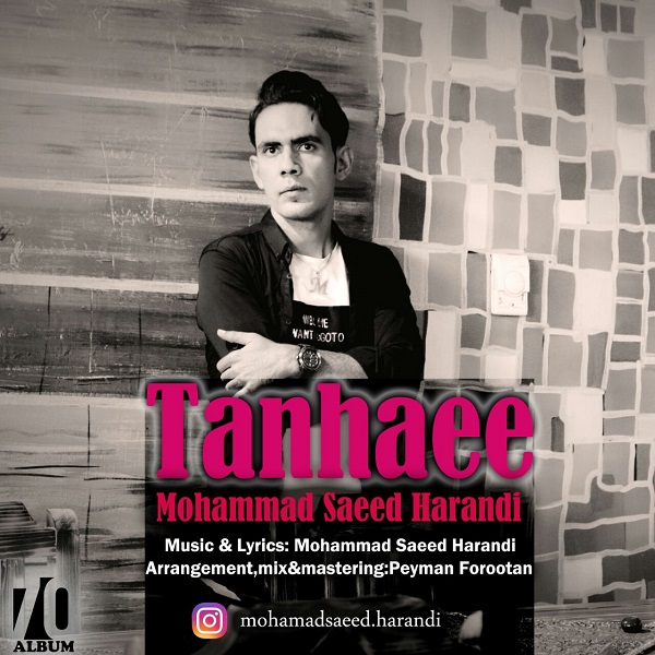 محمدسعید هرندی تنهایی