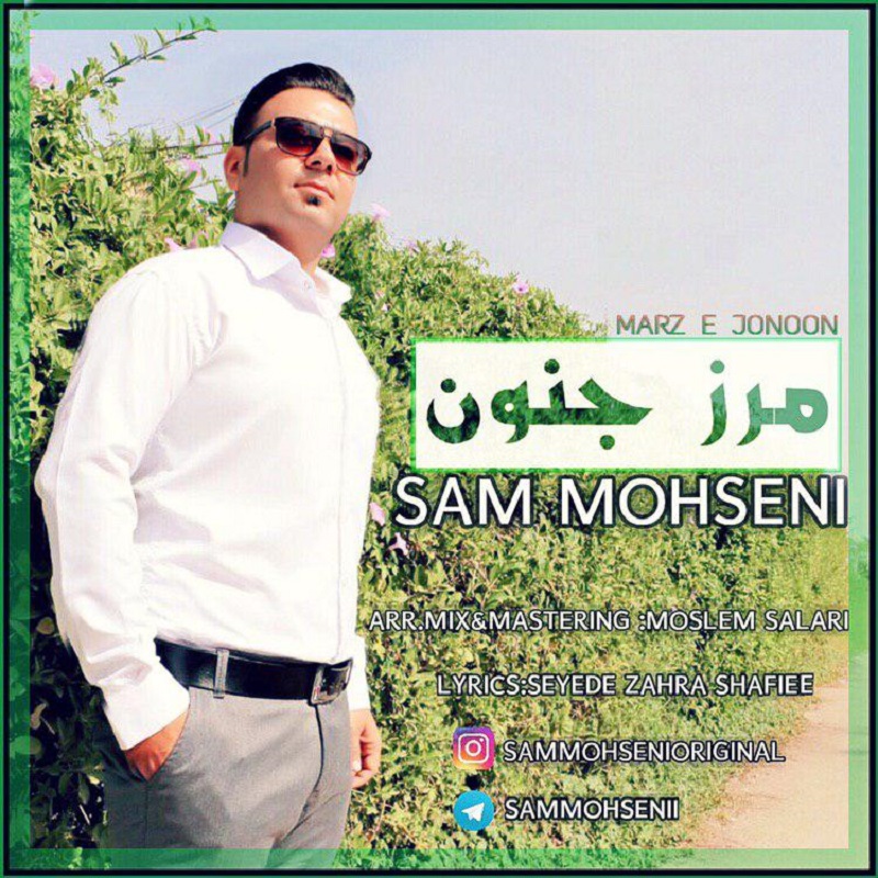 سام محسنی مرز جنون