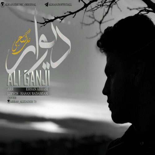 علی گنجی دیوار