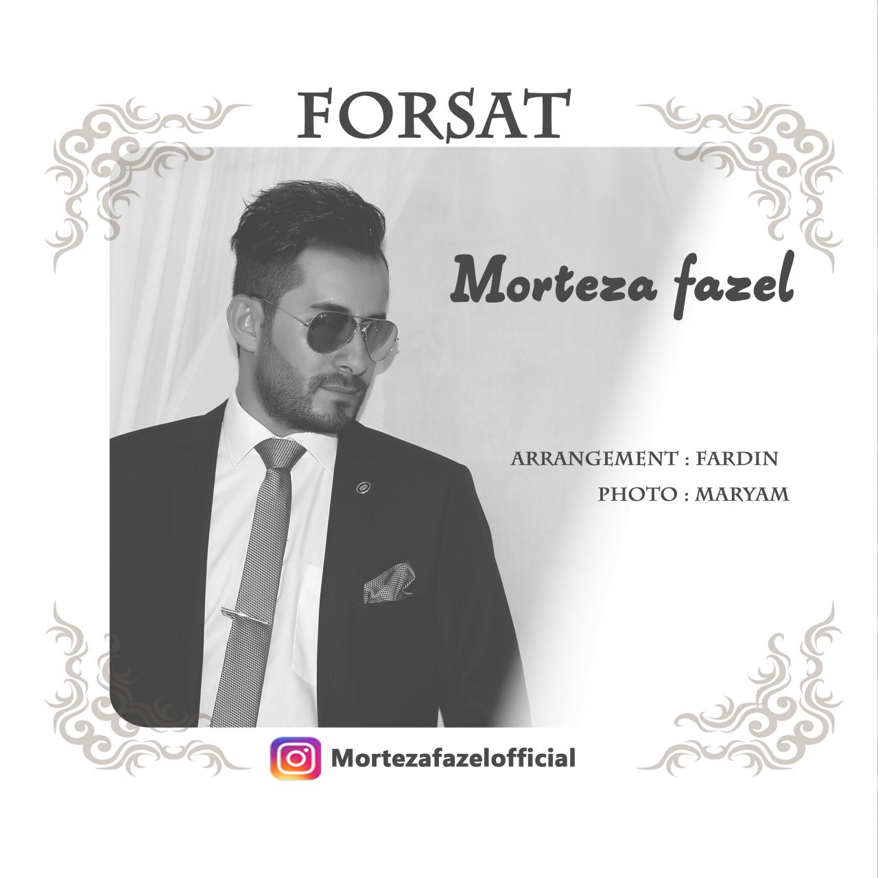 مرتضی فاضل فرصت