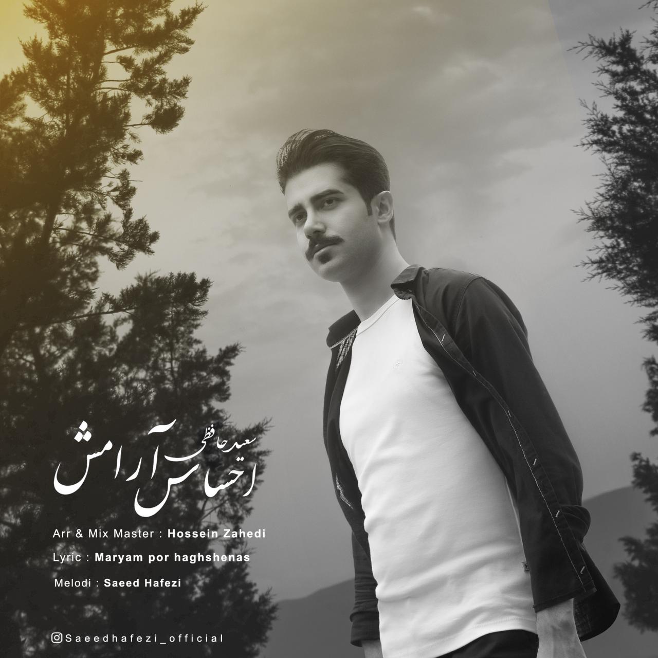 سعید حافظی احساس آرامش