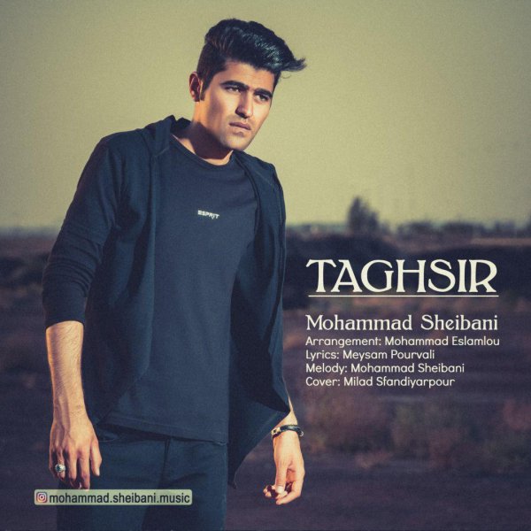 محمد شیبانی تقصیر
