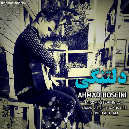 احمد حسینی دلتنگی