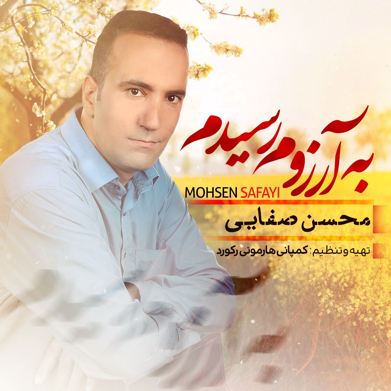 محسن صفایی