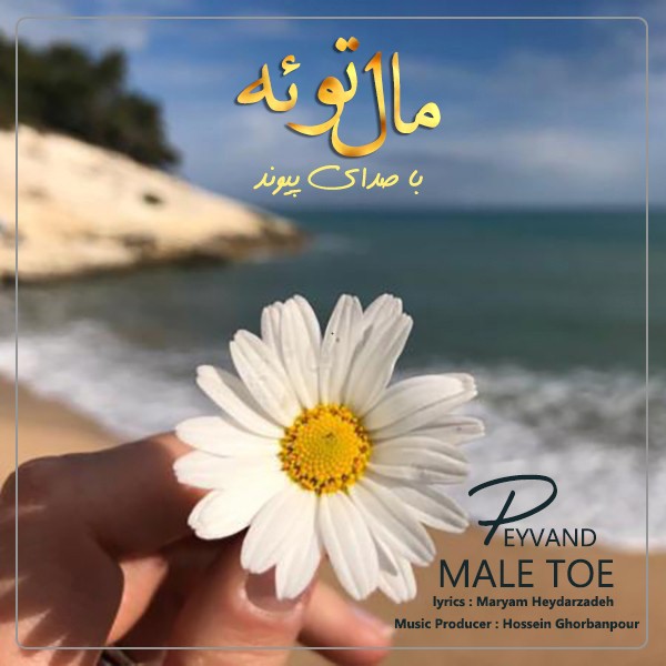 پیوند مال توئه