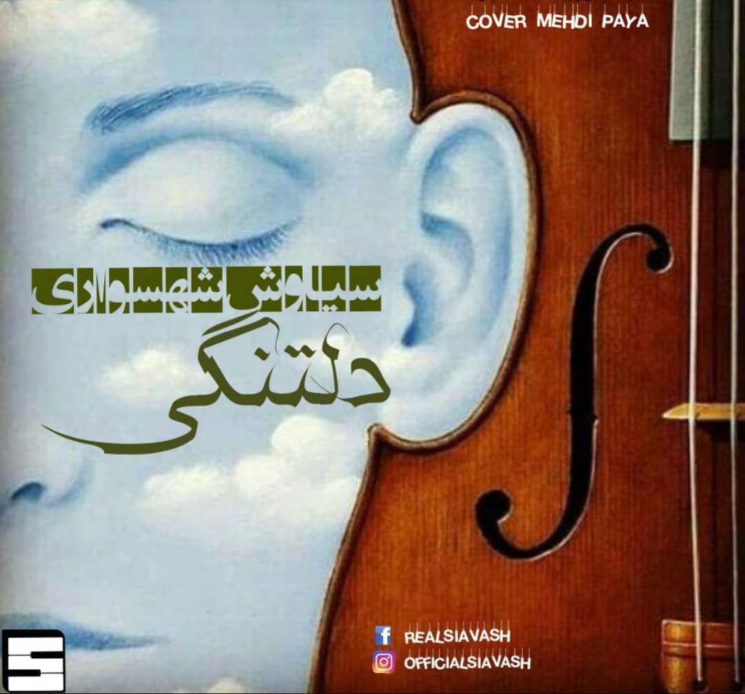 سیاوش شهسواری دلتنگی