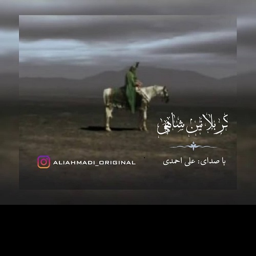 علی احمدی کربلانین شاهی