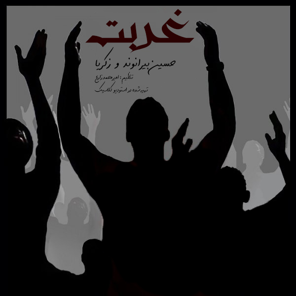 حسین بیرانوند و زکریا غربت