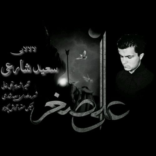 سعید شارعی لالالایی