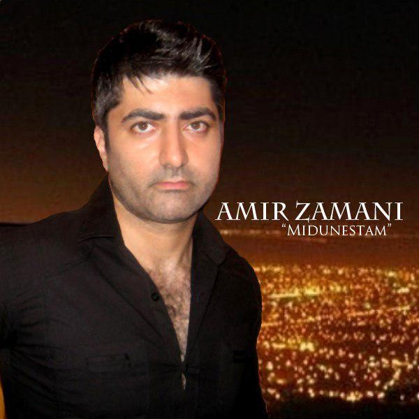 امیر زمانی