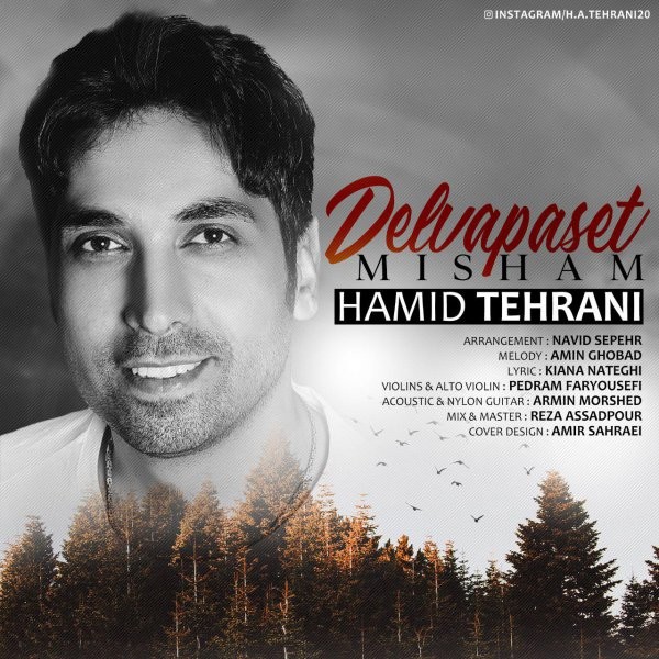 حمید تهرانی دلوا پست میشم