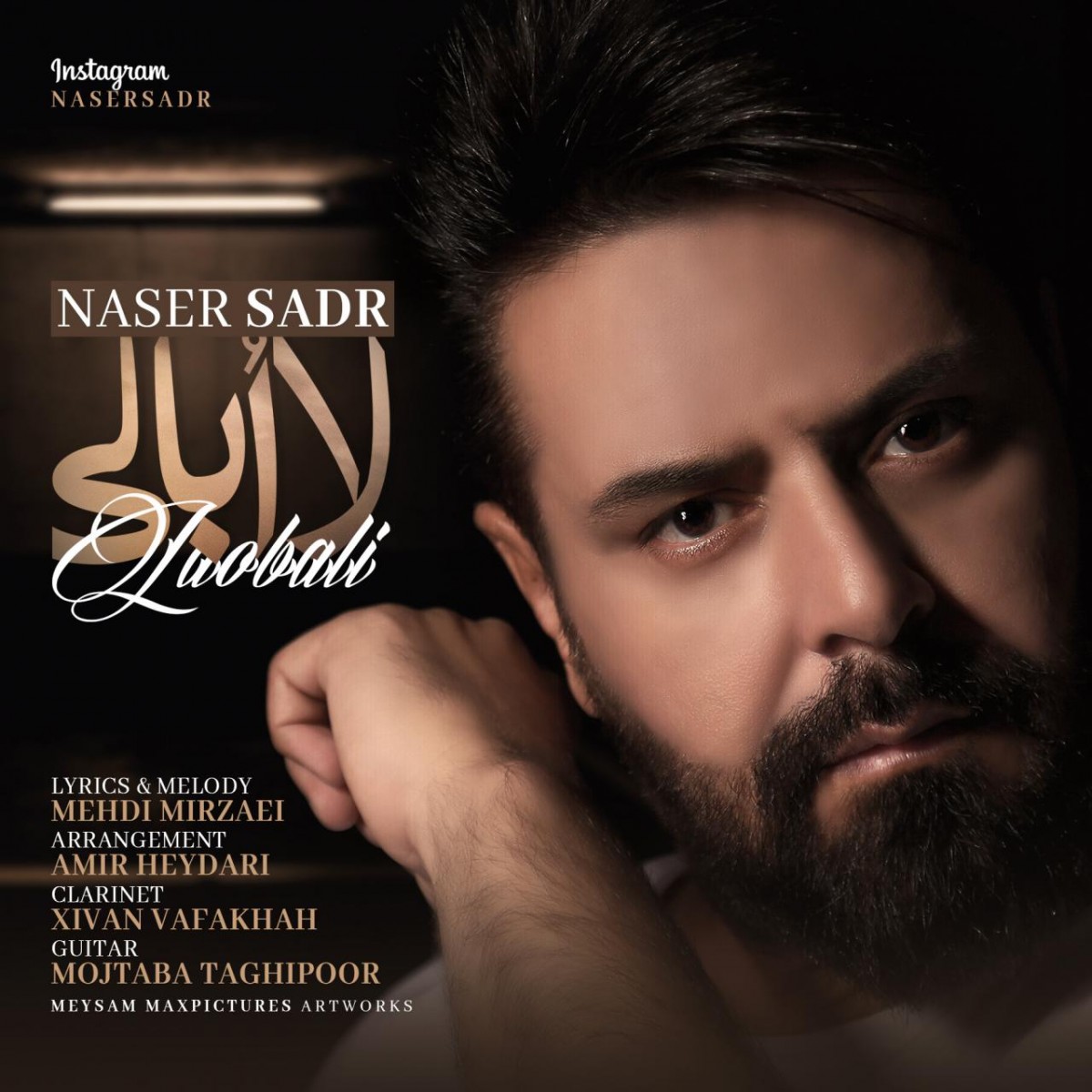 ناصر صدر لاابالی