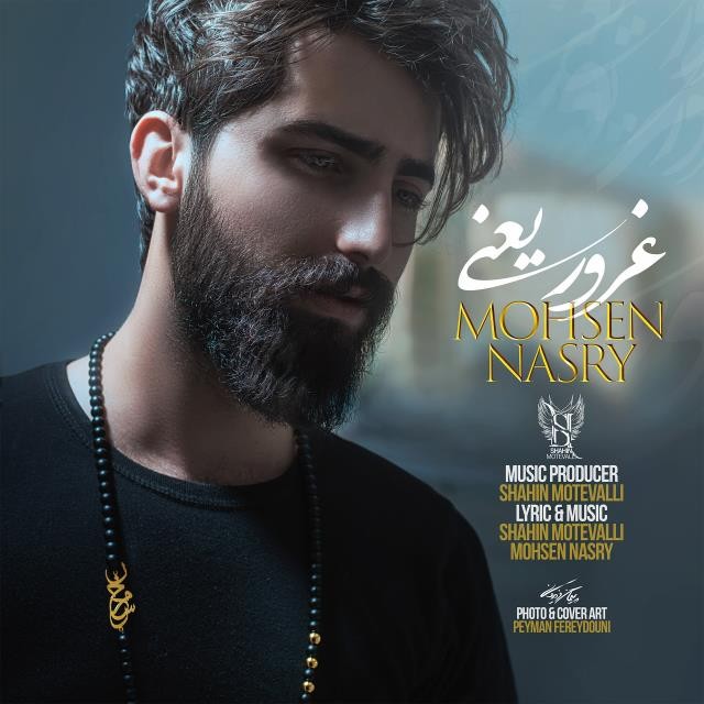 محسن نصری