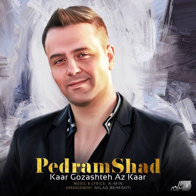 پدرام شاد کار گذشته از کار