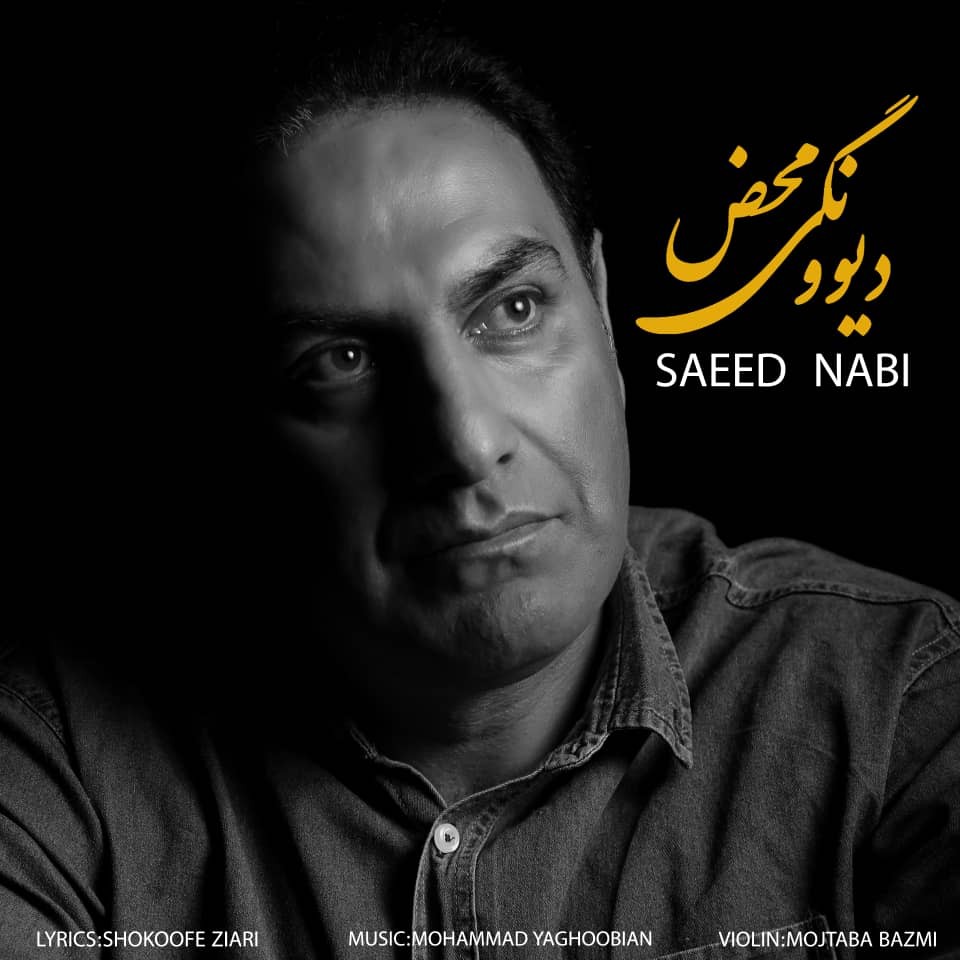 سعید نبی دیوونگی محض