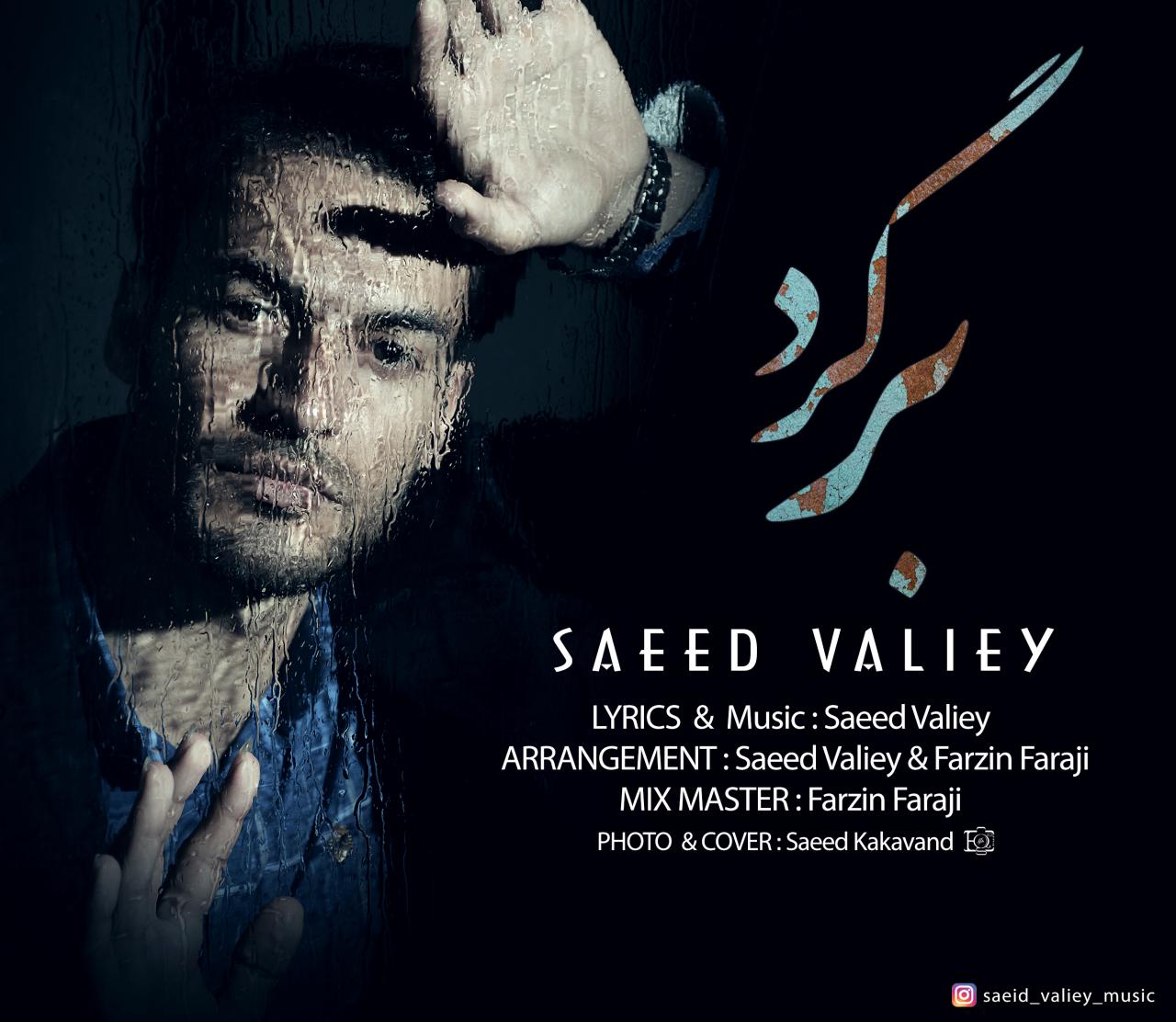 سعید ولیی برگرد