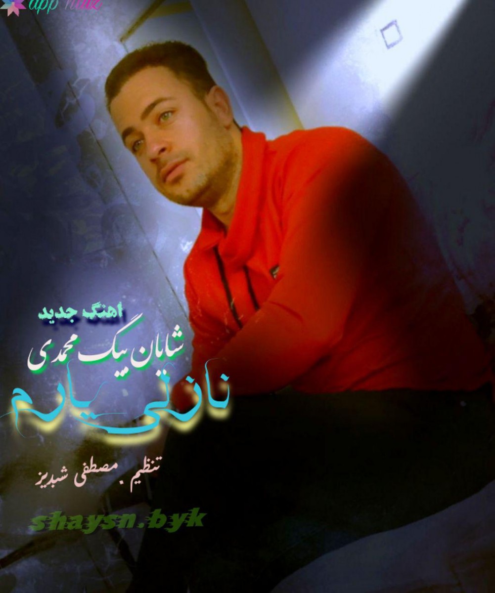 شایان بیگ محمدی