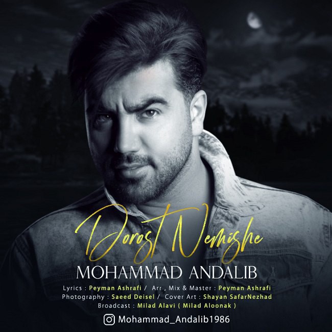 محمد عندلیب درست نمیشه