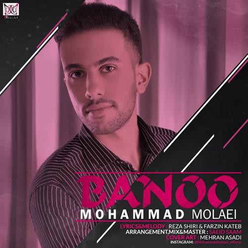 محمد ملائی