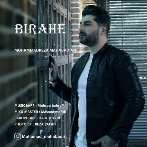 محمدرضا مهابادیان