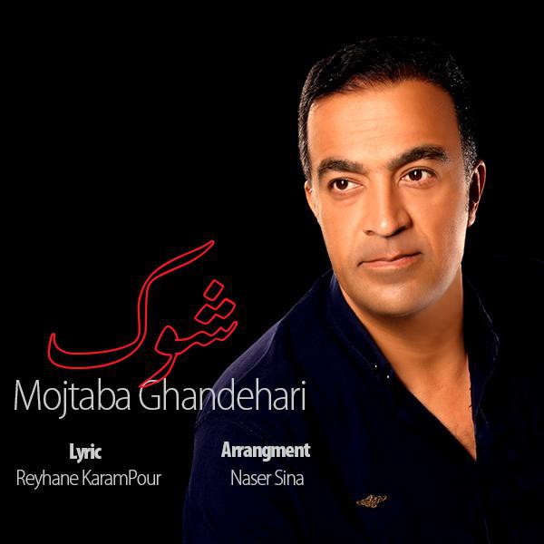 مجتبی قندهاری شوک