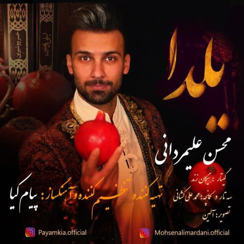 محسن علیمردانی یلدا