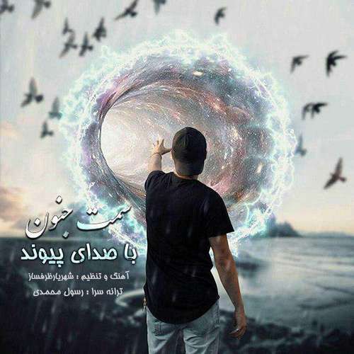 پیوند سمت جنون