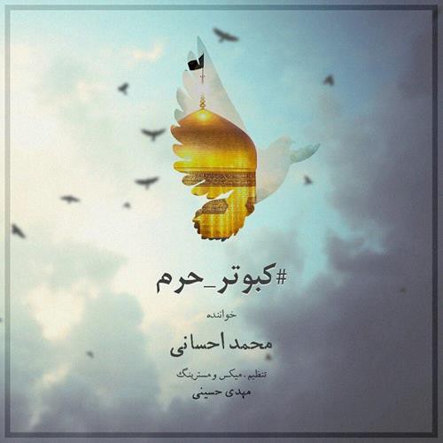 محمد احسانی کبوتر حرم