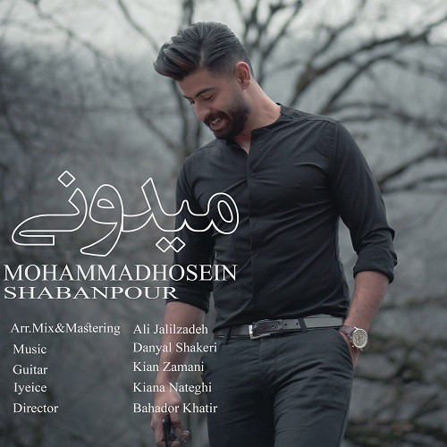 محمد حسین شعبان پور میدونی