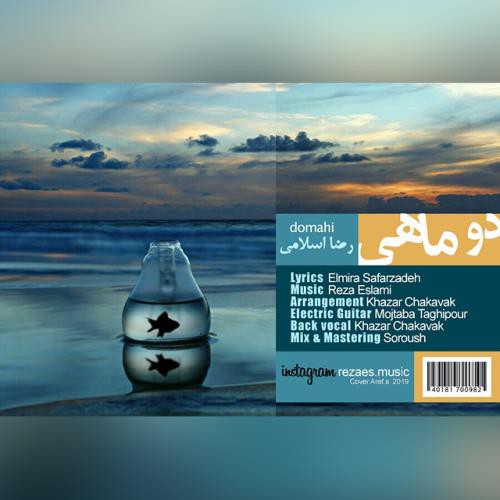 رضا اسلامی دو ماهی