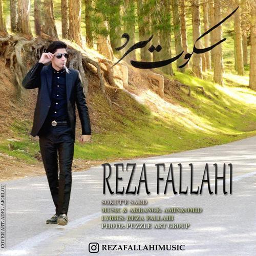 رضا فلاحی سکوت سرد